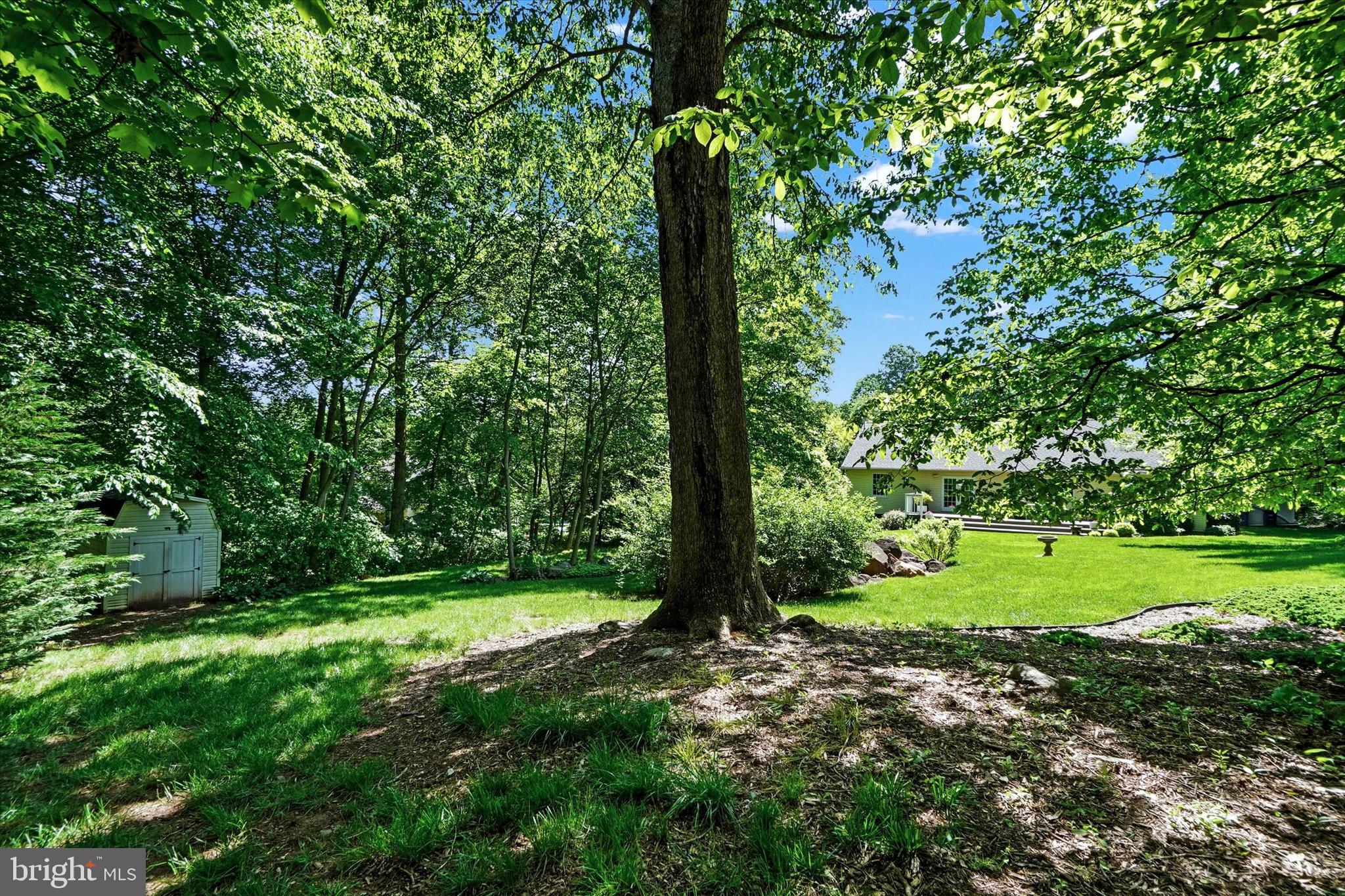 669 Woodburne Road Lewisberry, PA 17339 - Photo 30 of 44 a view of a field with a tree
