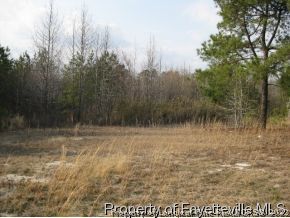 Lot#4 Cameron Hill Road Cameron, NC 28326 - Photo 2 of 6 Gallery Image 2