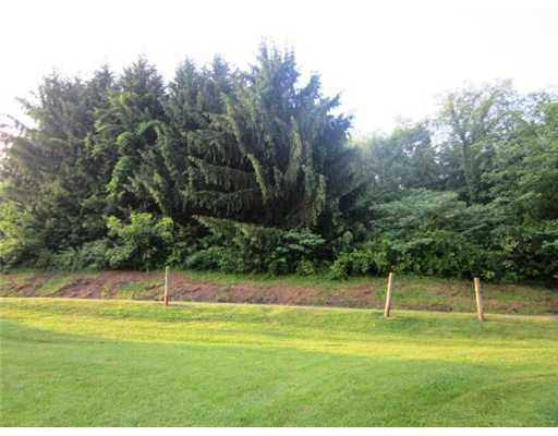 127 Orchard Road Waynesburg, PA 15370 - Photo 3 of 10 Land.