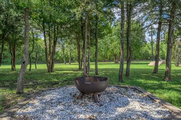 a view of a backyard with large trees and plants