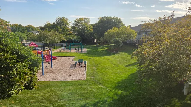 a view of a park with large trees