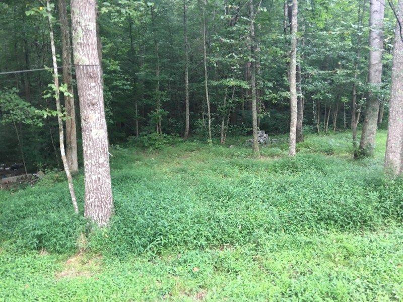 549 Joe Damrell Road Berea, KY 40403 - Photo 23 of 28 Photo 23