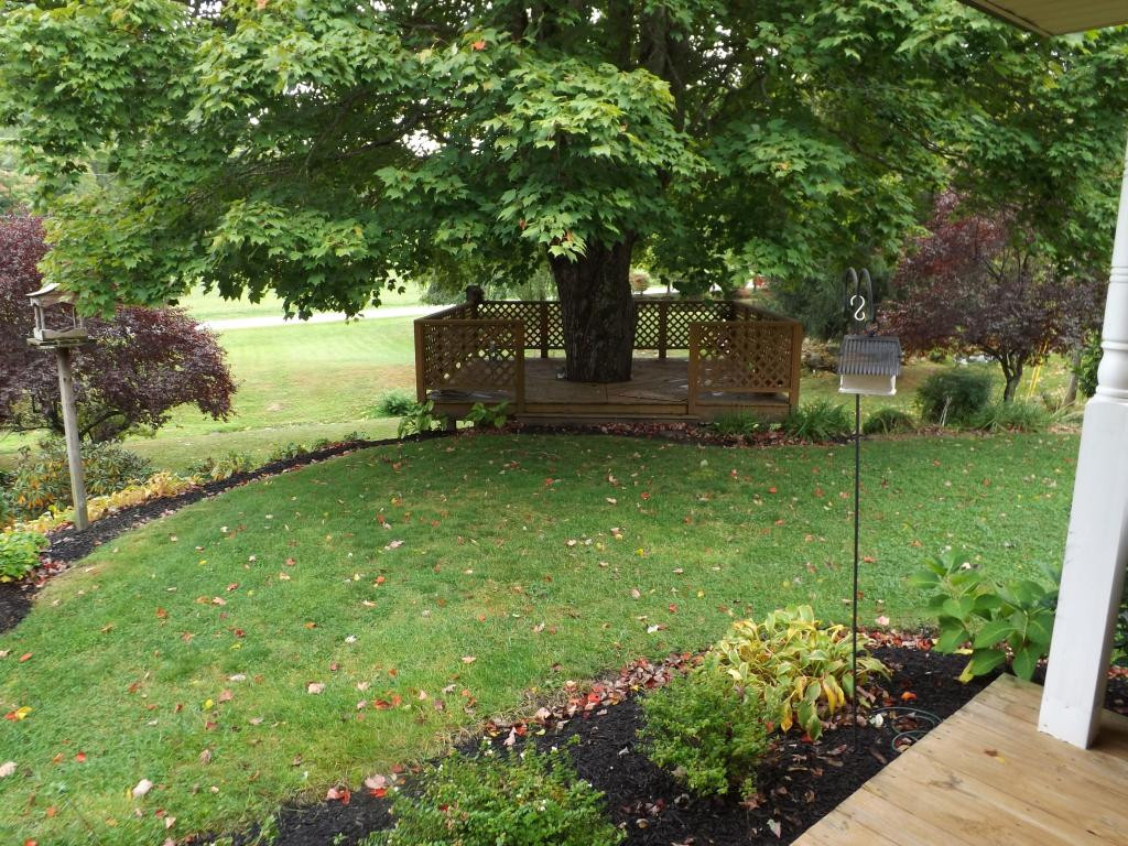 436 Shell Creek Road Roan Mountain, TN 37687 - Photo 17 of 24 Photo 17