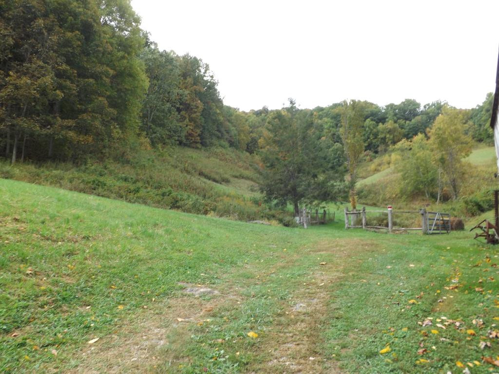 436 Shell Creek Road Roan Mountain, TN 37687 - Photo 19 of 24 Photo 19