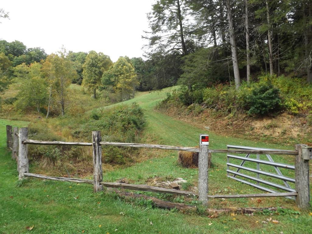 436 Shell Creek Road Roan Mountain, TN 37687 - Photo 20 of 24 Photo 20