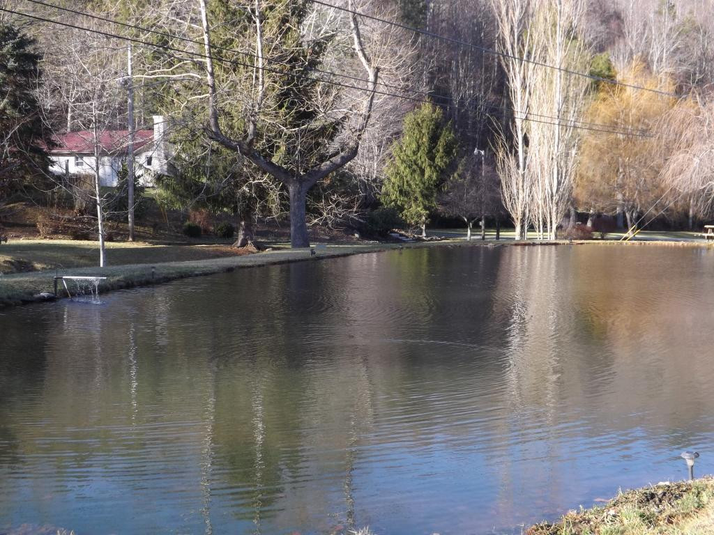 436 Shell Creek Road Roan Mountain, TN 37687 - Photo 3 of 24 Photo 3