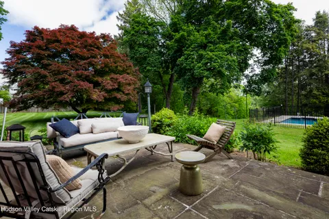 a view of a yard with plants and a large tree