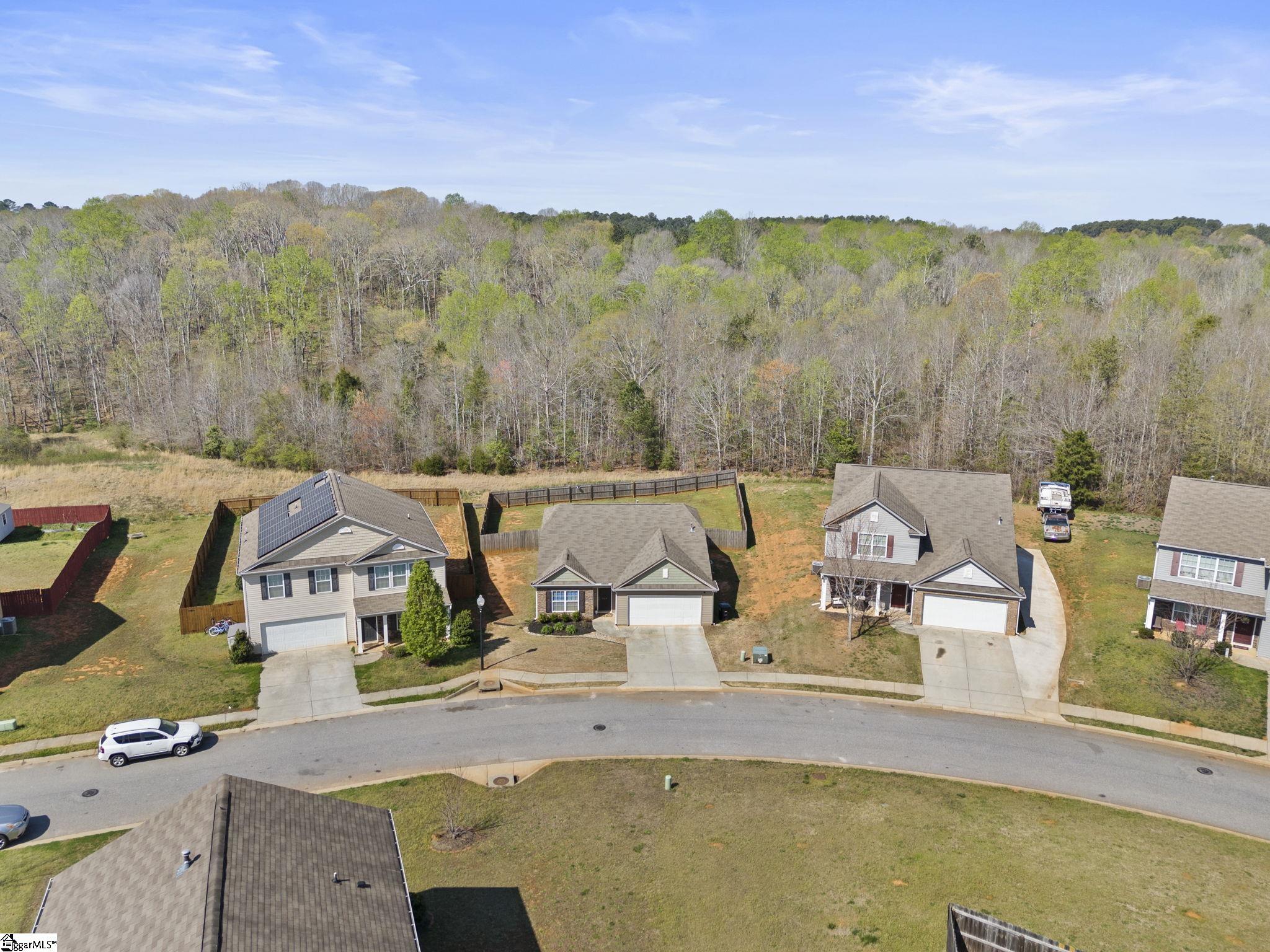 727 Streamside Drive Piedmont, SC 29673 - Photo 3 of 19