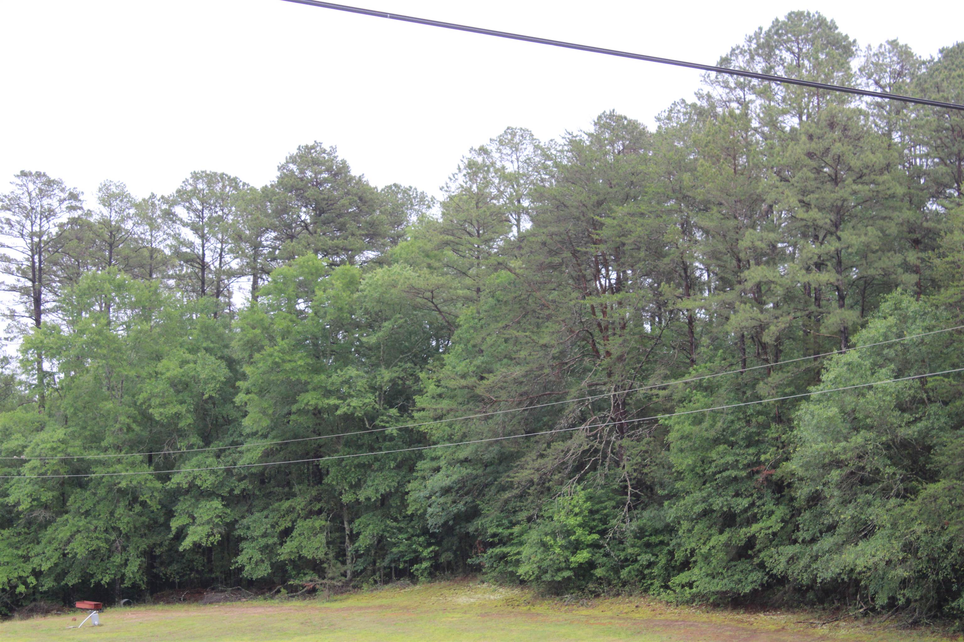 393 Goldmine Road Spartanburg, SC 29307 - Photo 3 of 5