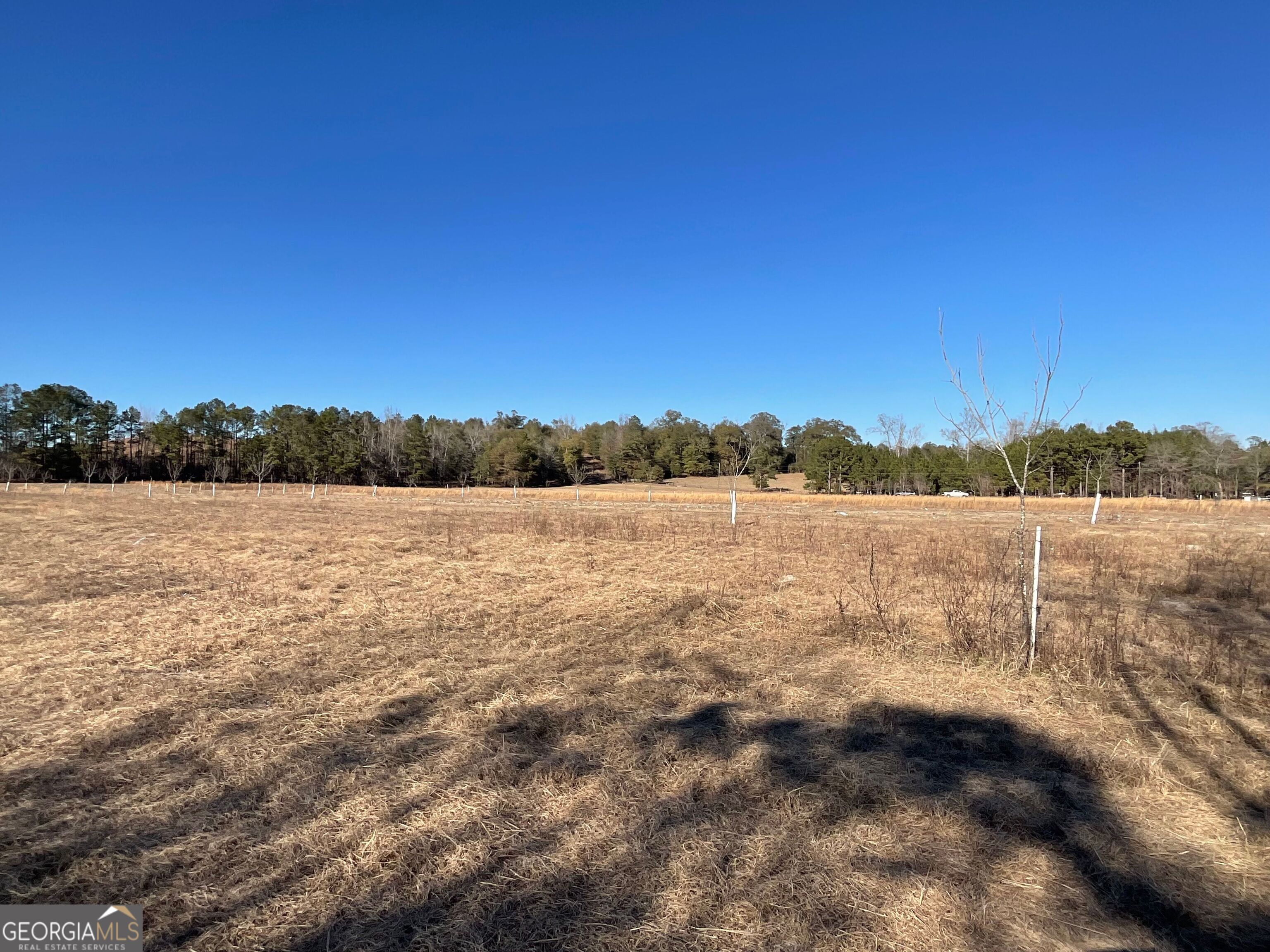 965 Fountain Road Jeffersonville, GA 31044 - Photo 11 of 37 a view of lake with green space