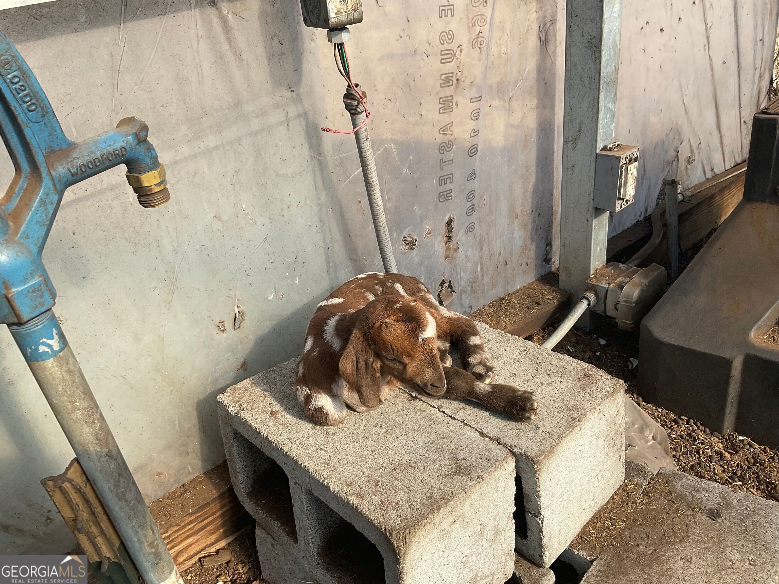965 Fountain Road Jeffersonville, GA 31044 - Photo 13 of 37 a bathroom with a granite countertop sink a toilet and shower