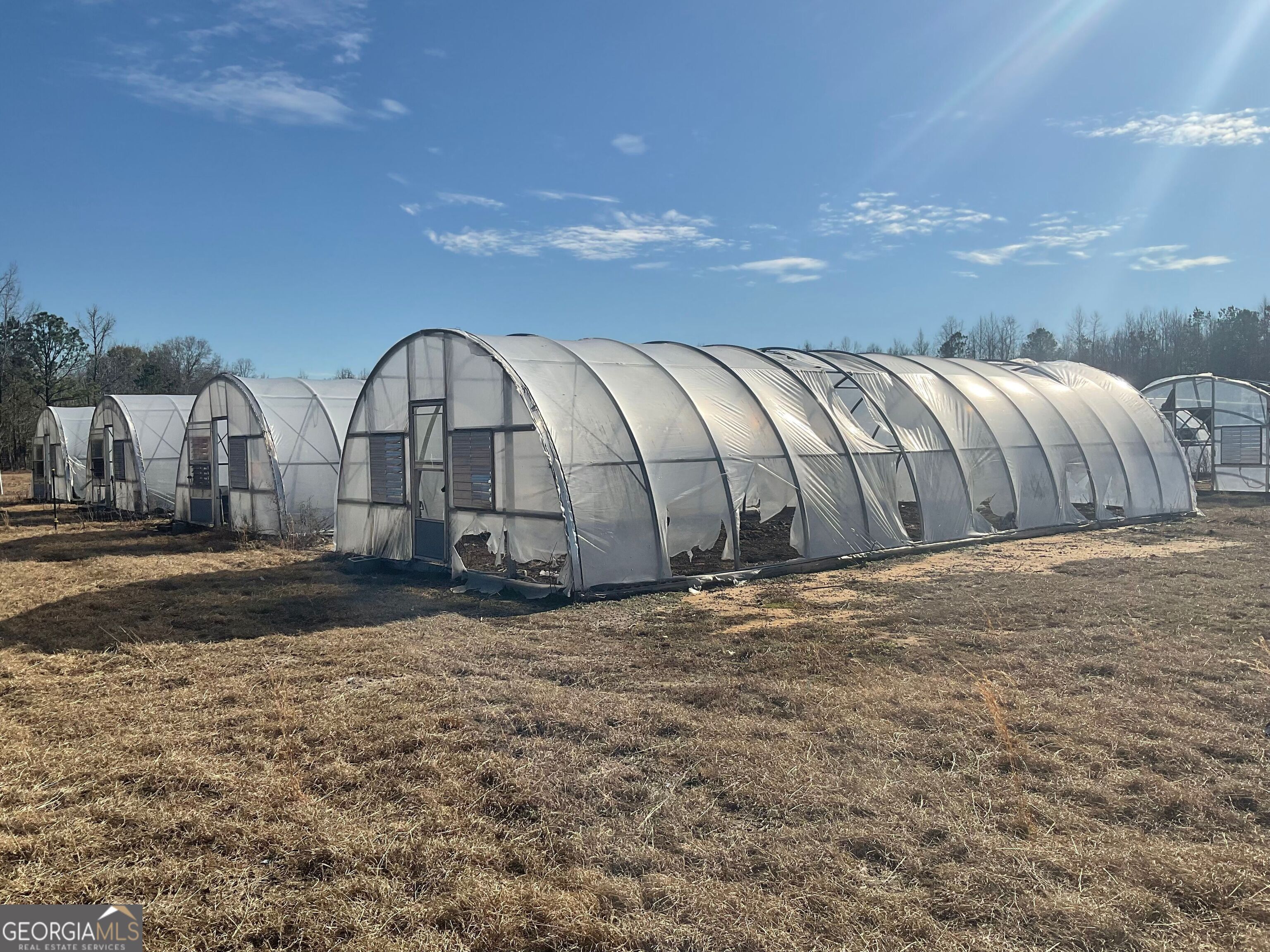 965 Fountain Road Jeffersonville, GA 31044 - Photo 17 of 37 a view of a yard with street