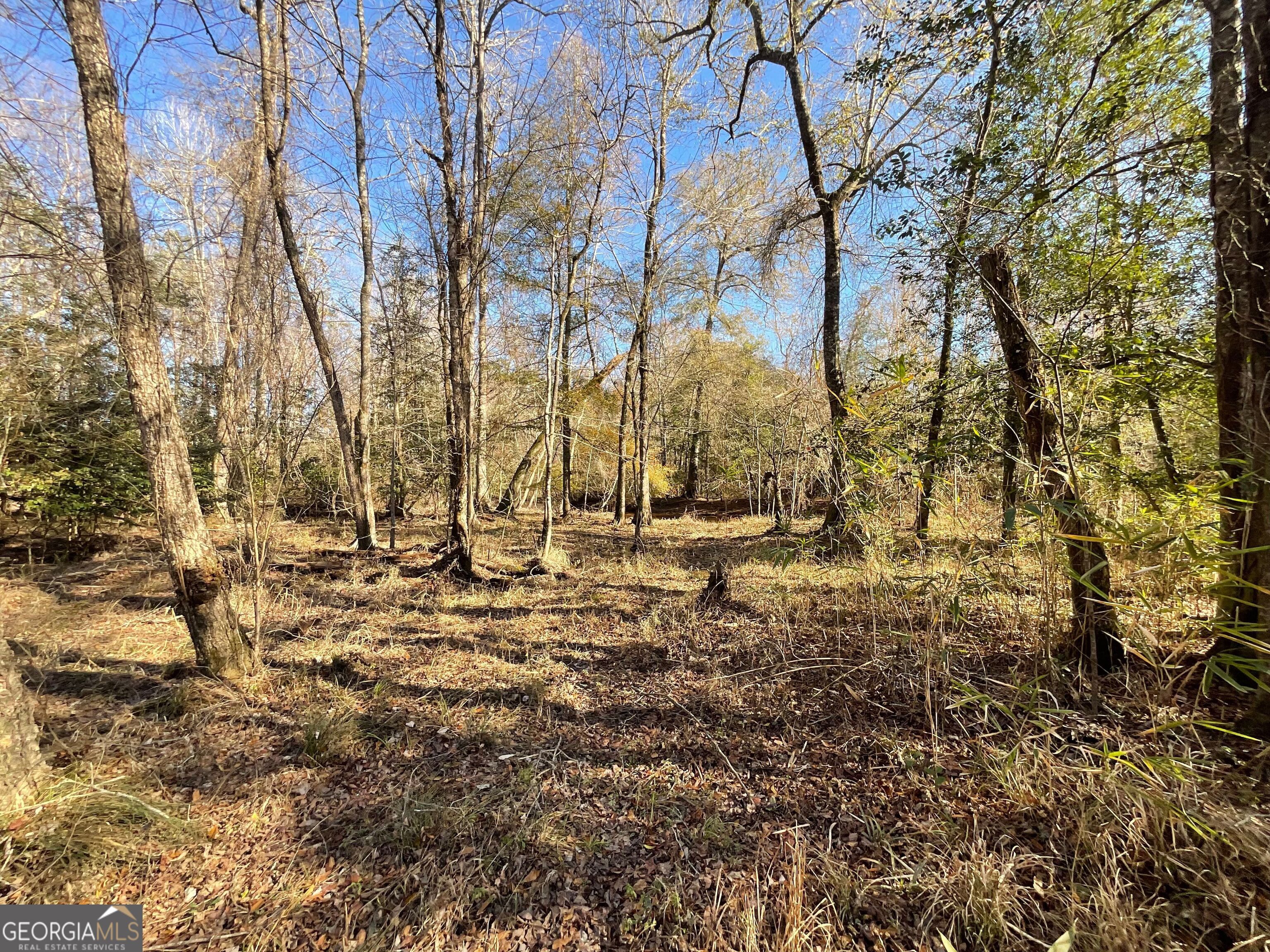 965 Fountain Road Jeffersonville, GA 31044 - Photo 19 of 37 a view of yard covered with snow