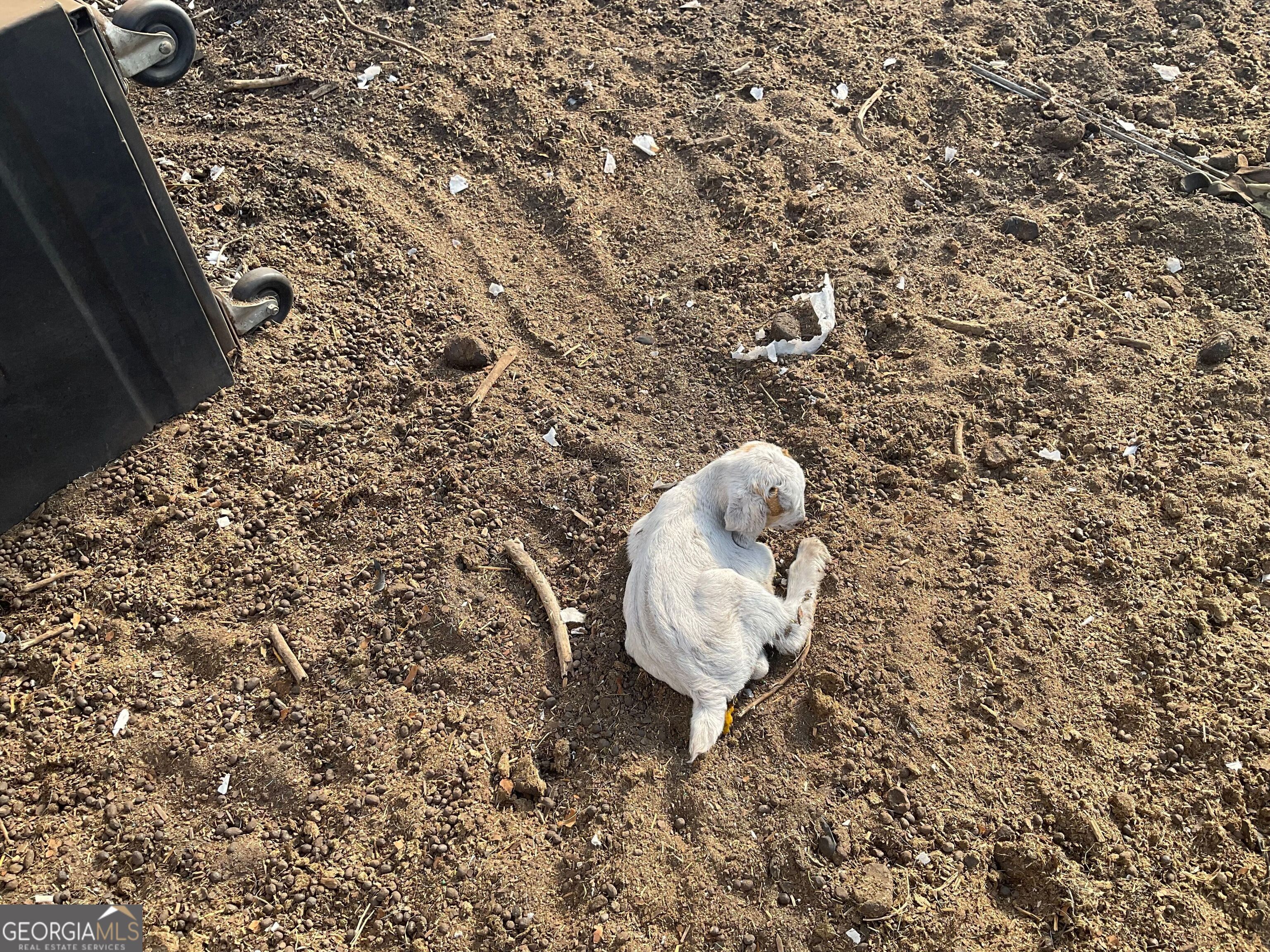 965 Fountain Road Jeffersonville, GA 31044 - Photo 20 of 37 a close up of a sink