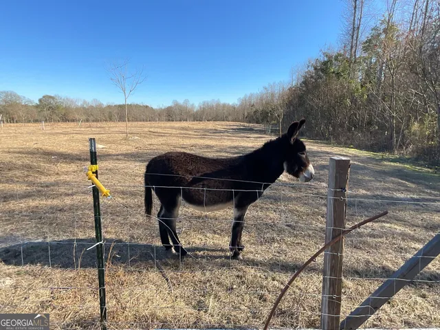 a view of a lake with a house in background