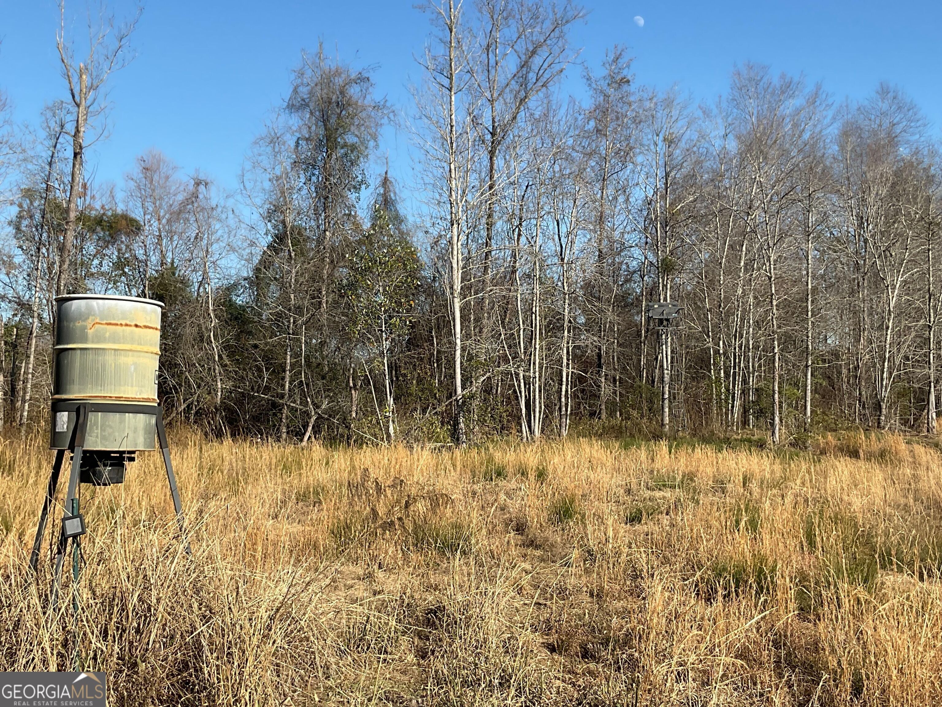 965 Fountain Road Jeffersonville, GA 31044 - Photo 22 of 37 a view of a lake with a house in background