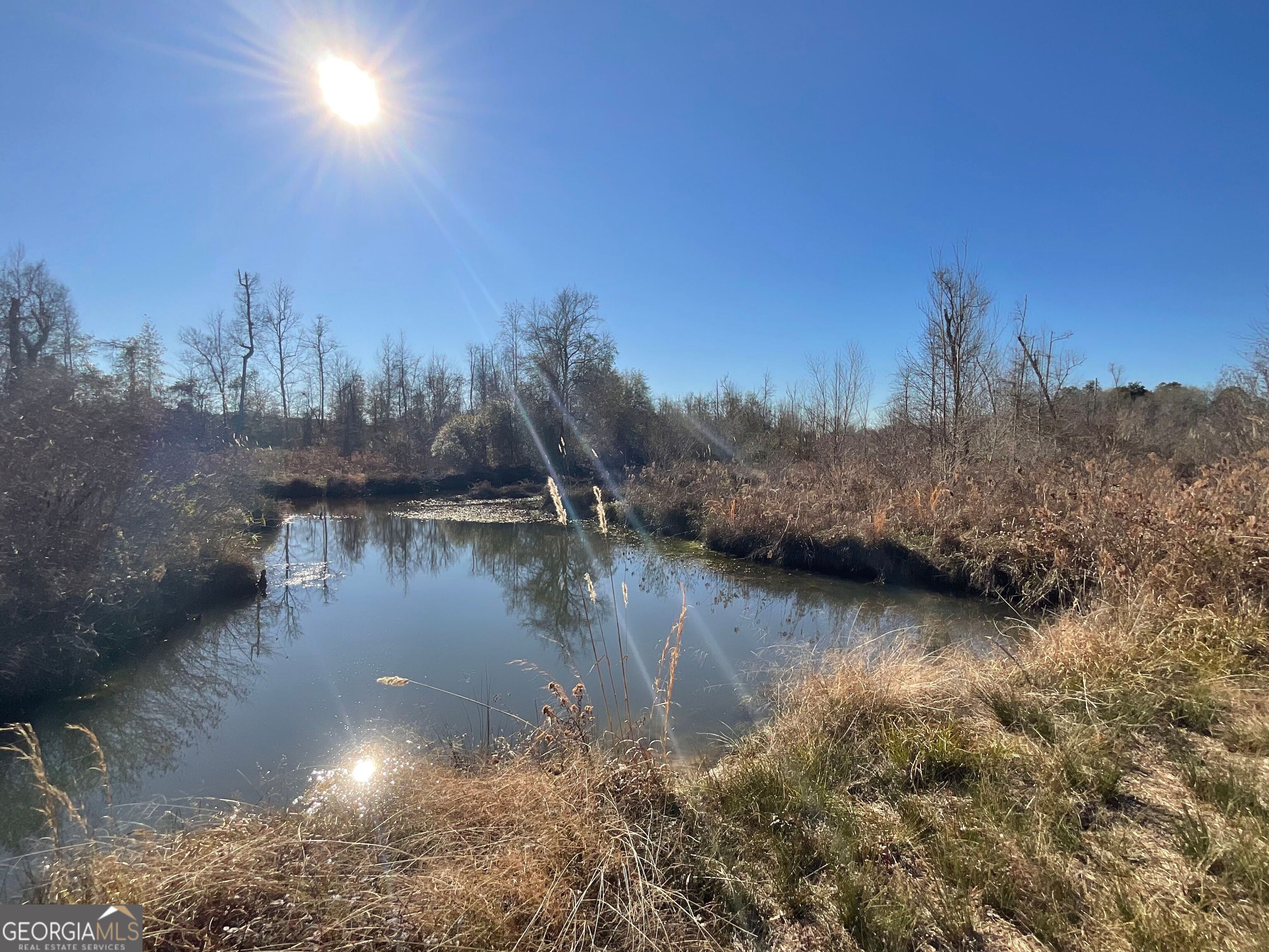 965 Fountain Road Jeffersonville, GA 31044 - Photo 23 of 37 a view of a lake in between two of trees