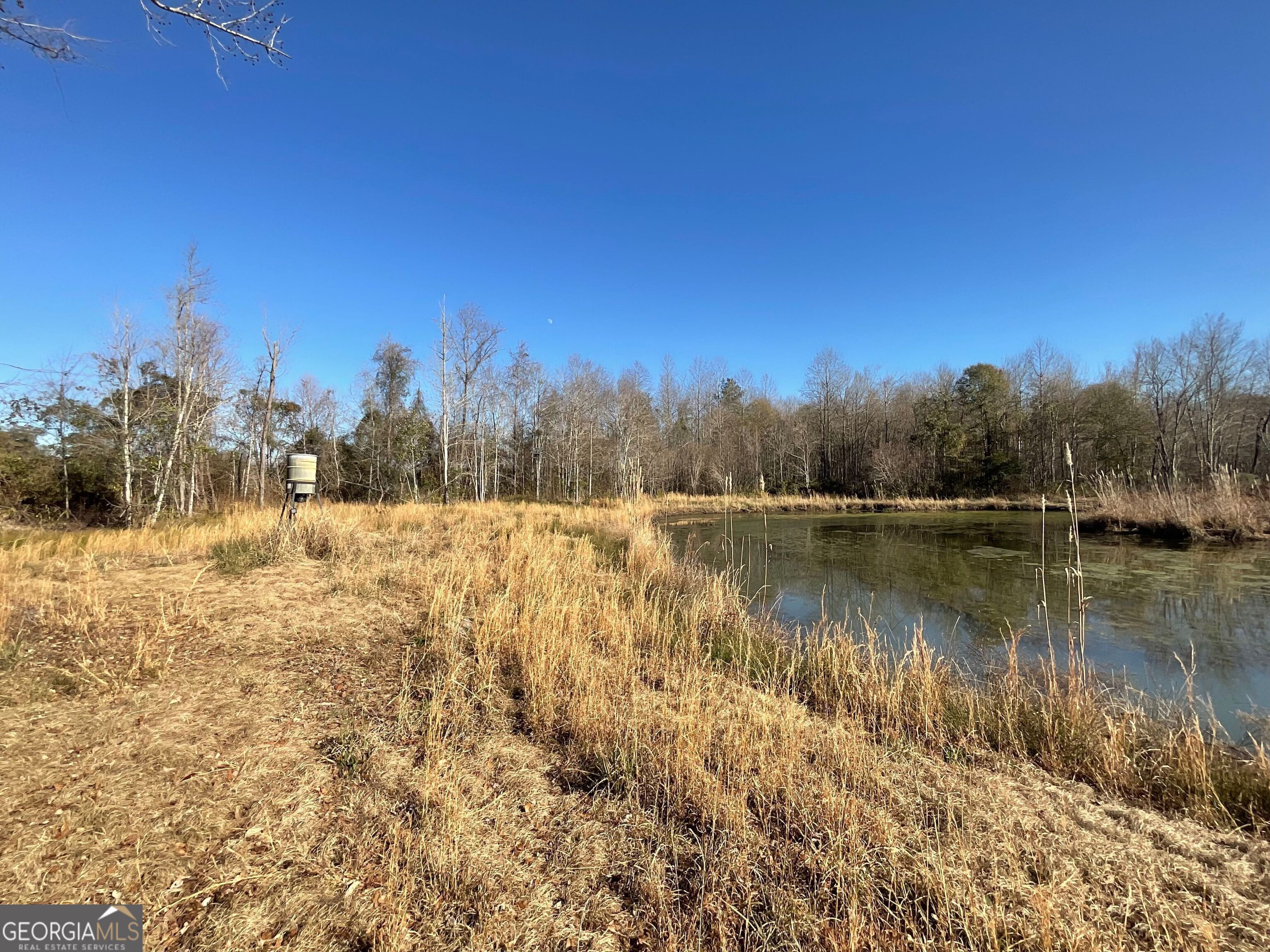 965 Fountain Road Jeffersonville, GA 31044 - Photo 25 of 37