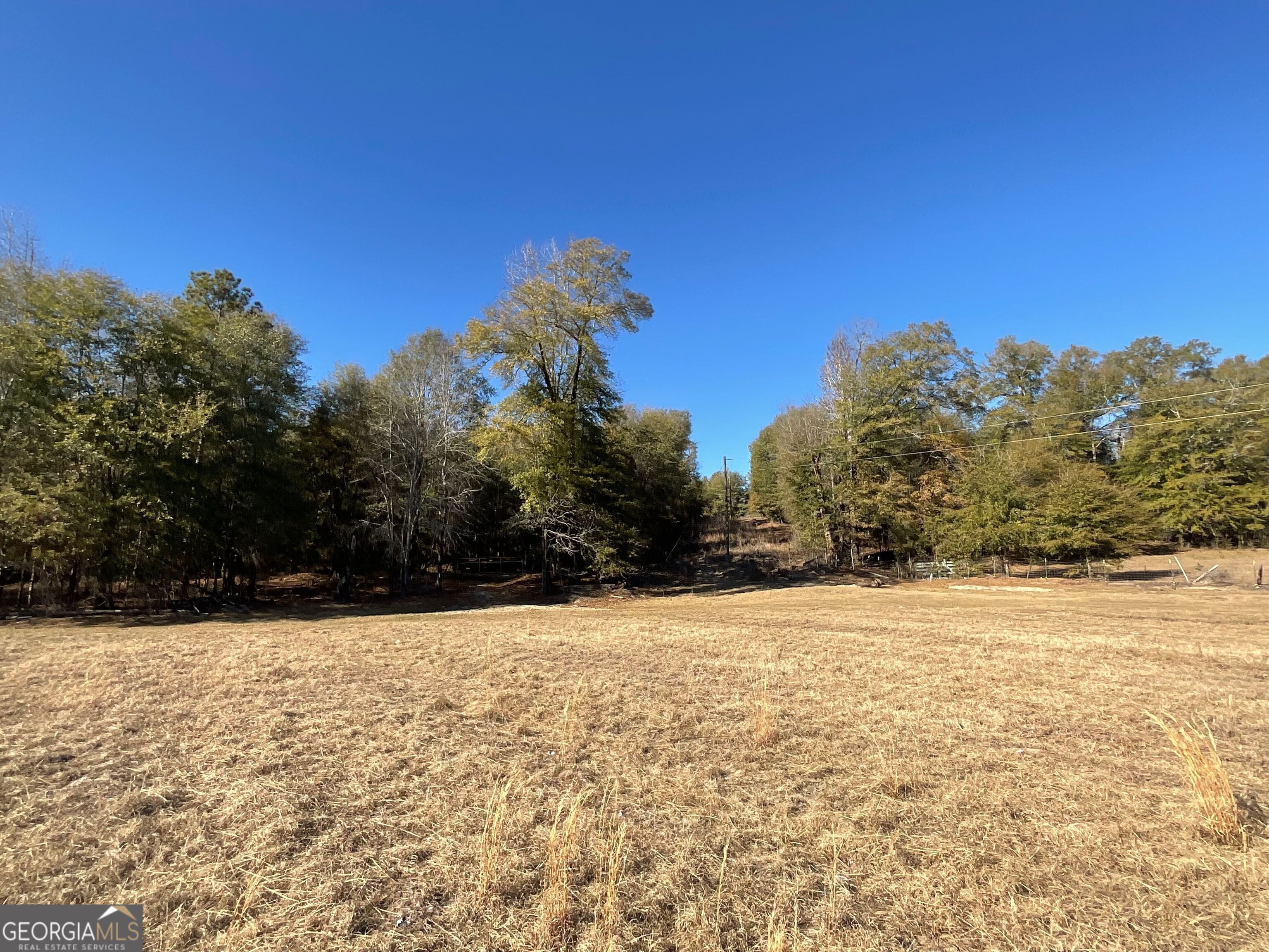 965 Fountain Road Jeffersonville, GA 31044 - Photo 26 of 37 a view of a yard with a house
