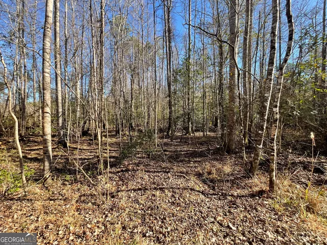 a view of yard covered with snow