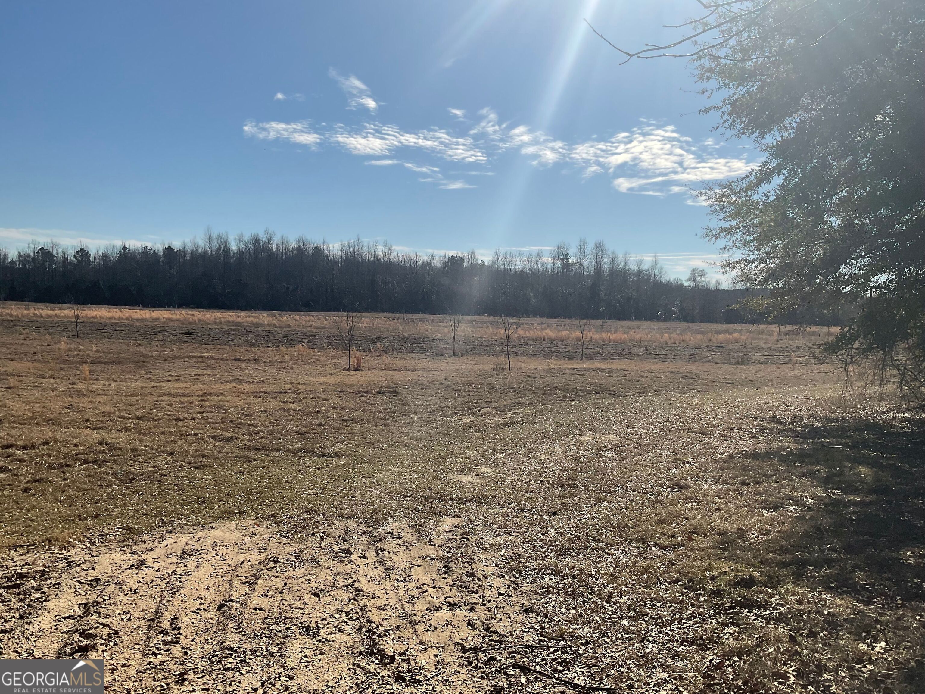 965 Fountain Road Jeffersonville, GA 31044 - Photo 29 of 37