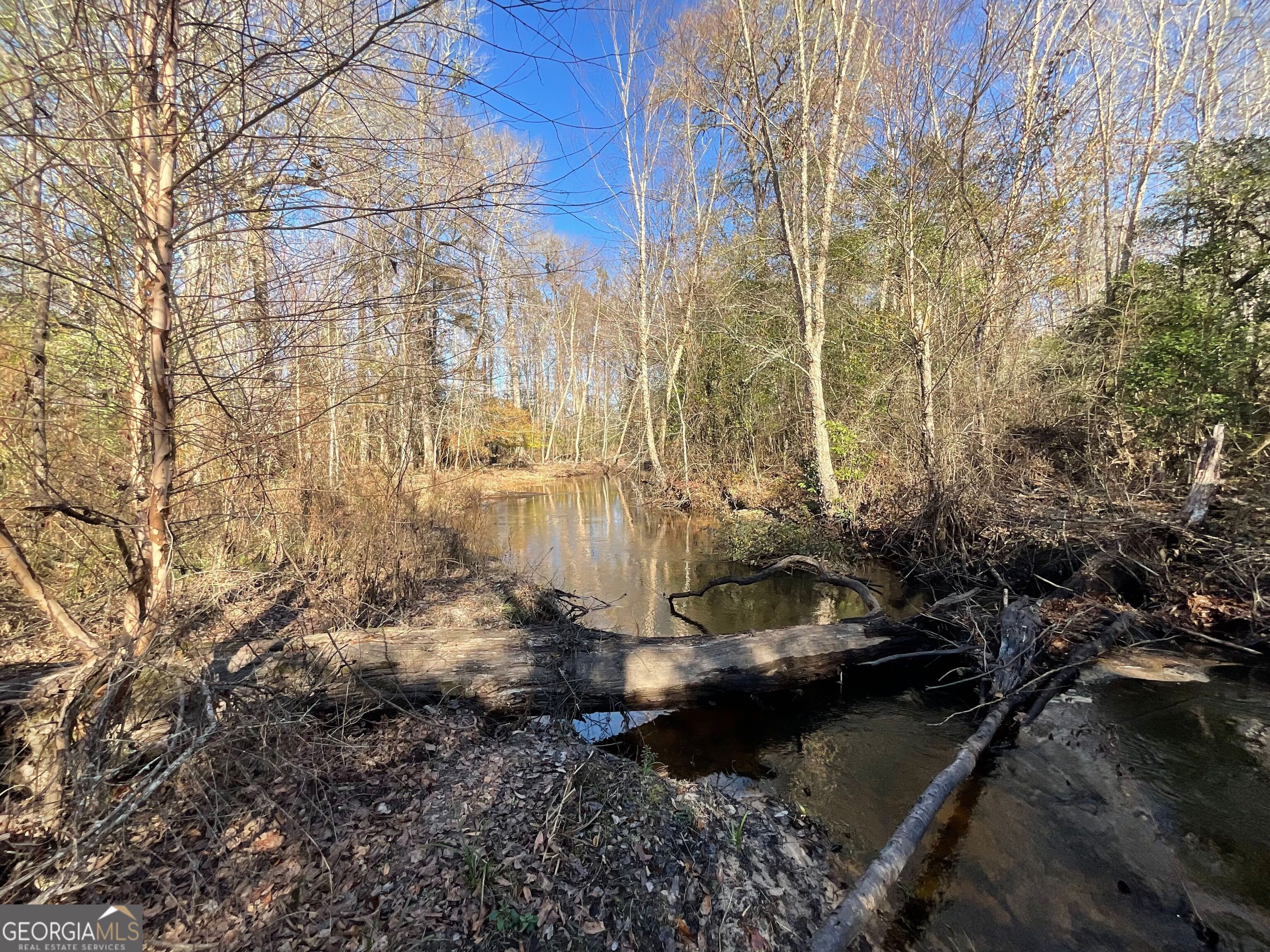 965 Fountain Road Jeffersonville, GA 31044 - Photo 30 of 37