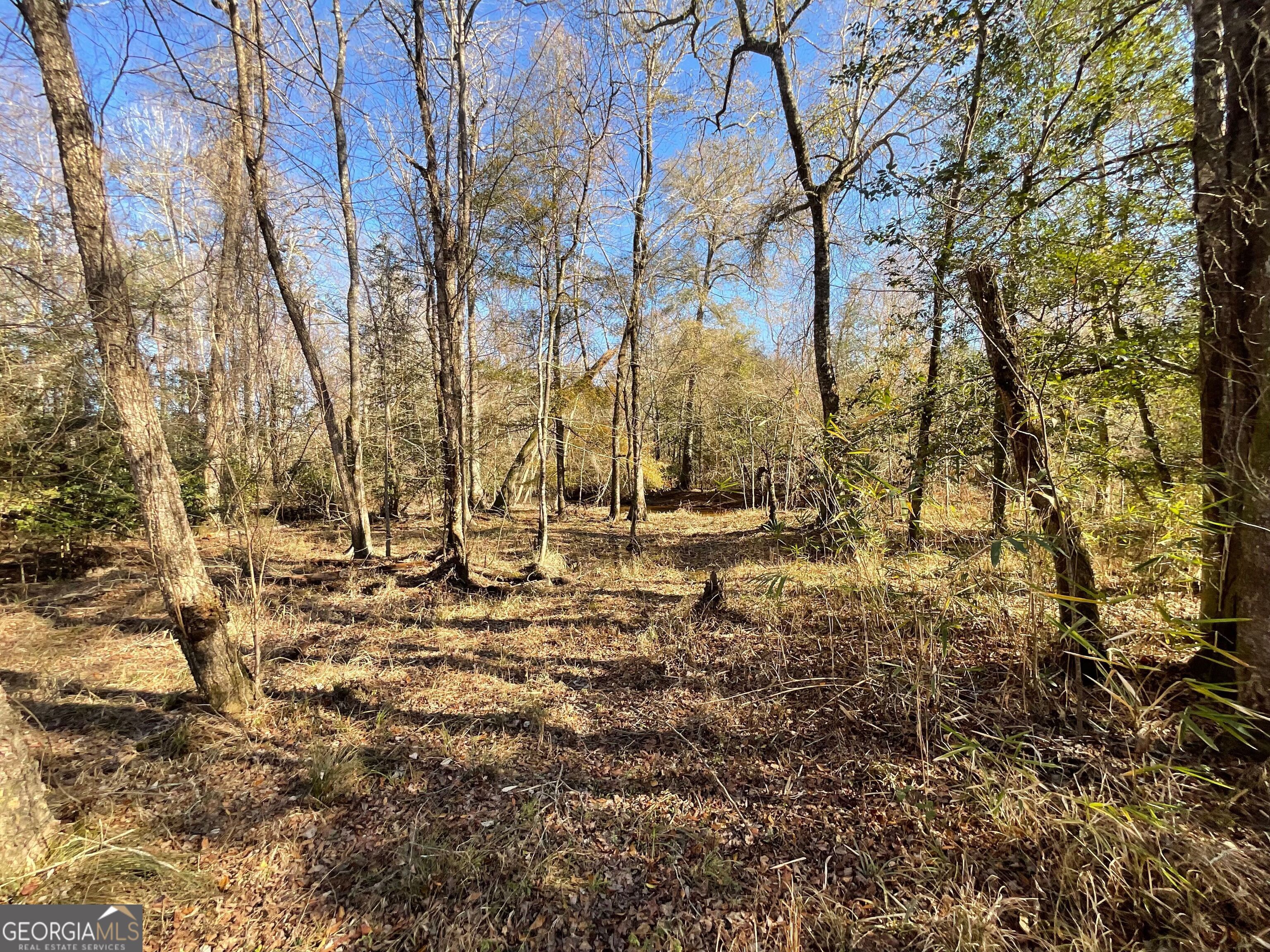 965 Fountain Road Jeffersonville, GA 31044 - Photo 31 of 37 a view of yard covered with snow