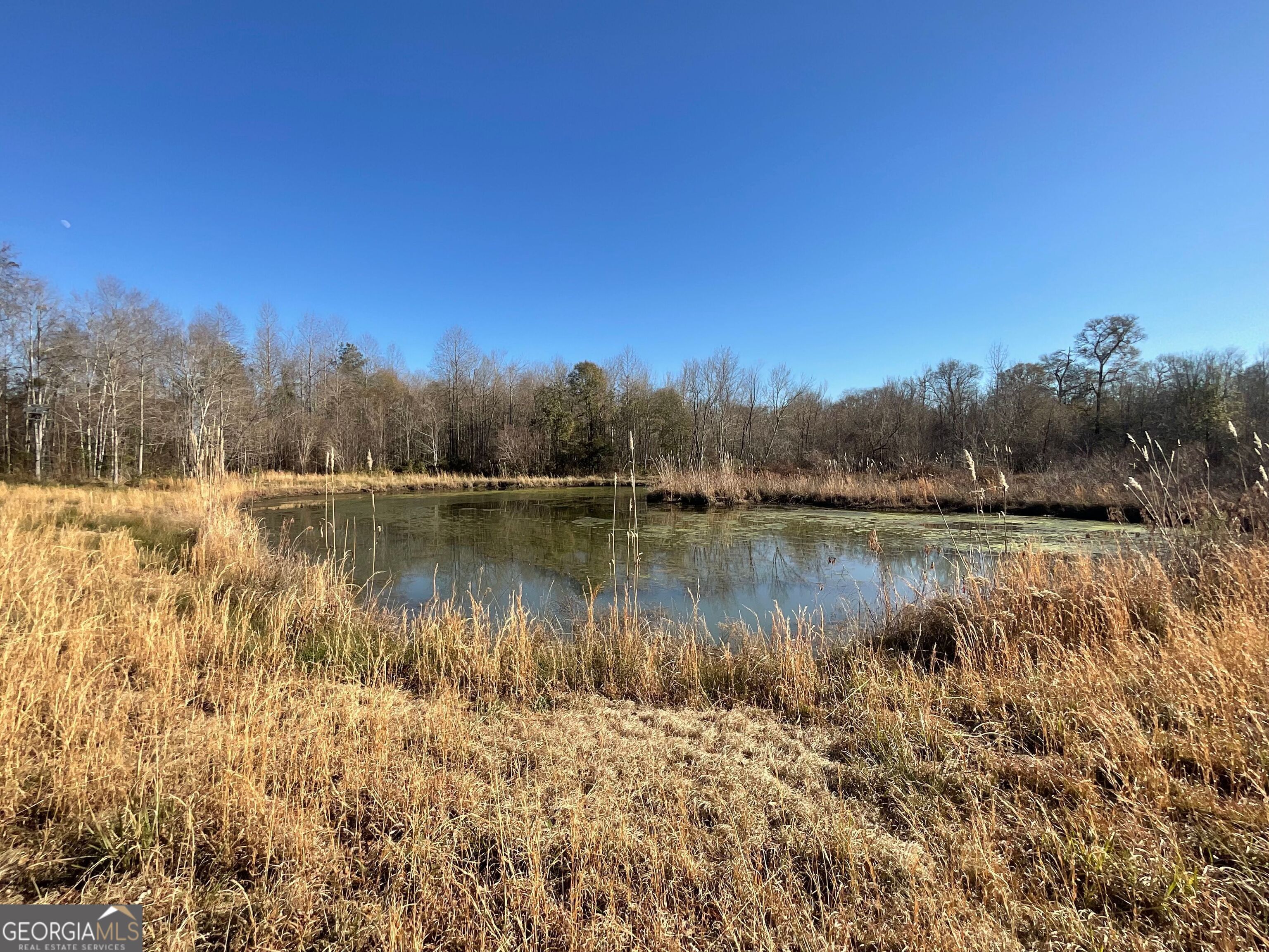 965 Fountain Road Jeffersonville, GA 31044 - Photo 32 of 37 a view of lake