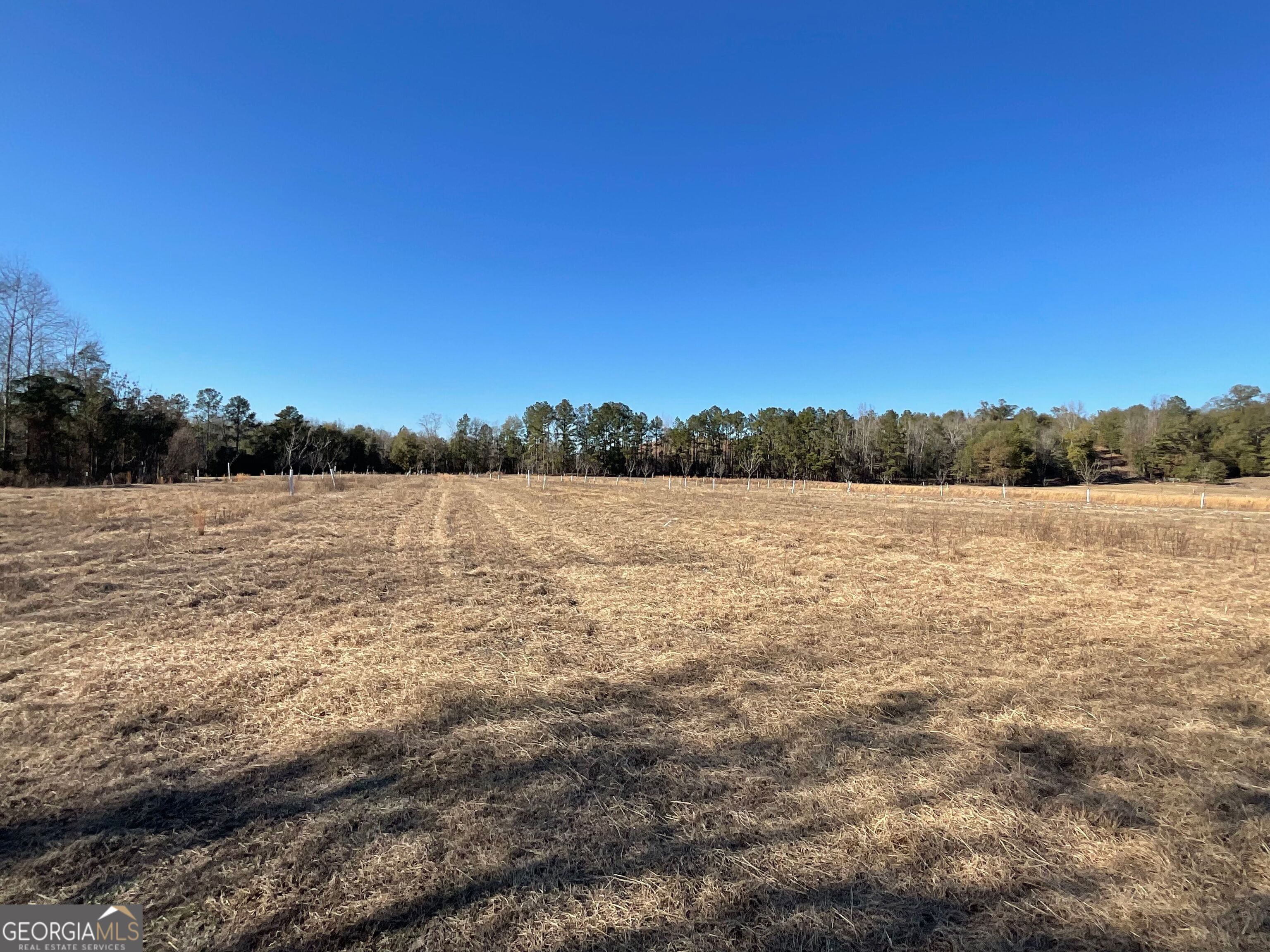 965 Fountain Road Jeffersonville, GA 31044 - Photo 33 of 37 a view of lake and mountain