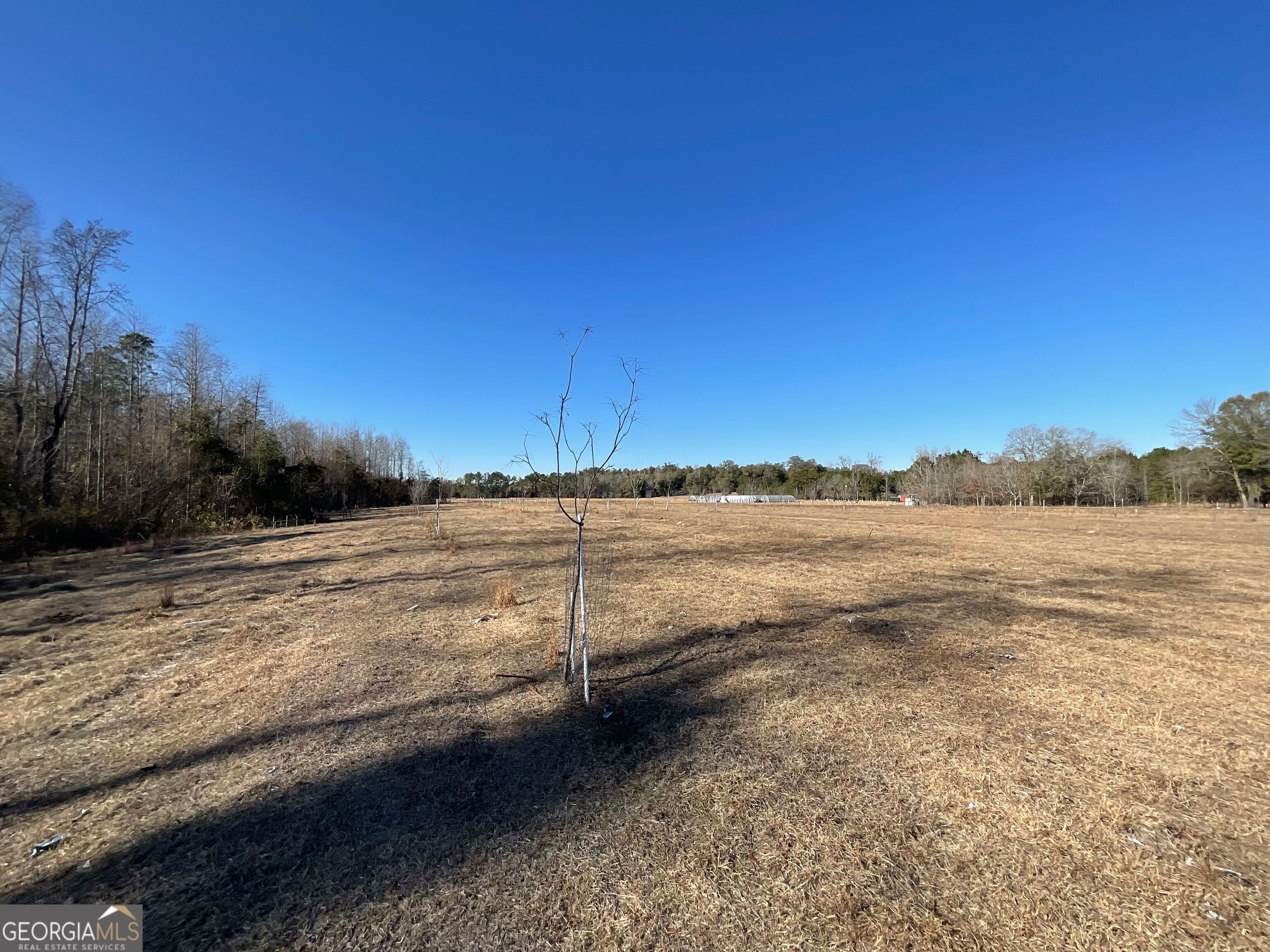 965 Fountain Road Jeffersonville, GA 31044 - Photo 36 of 37 a view of an ocean beach