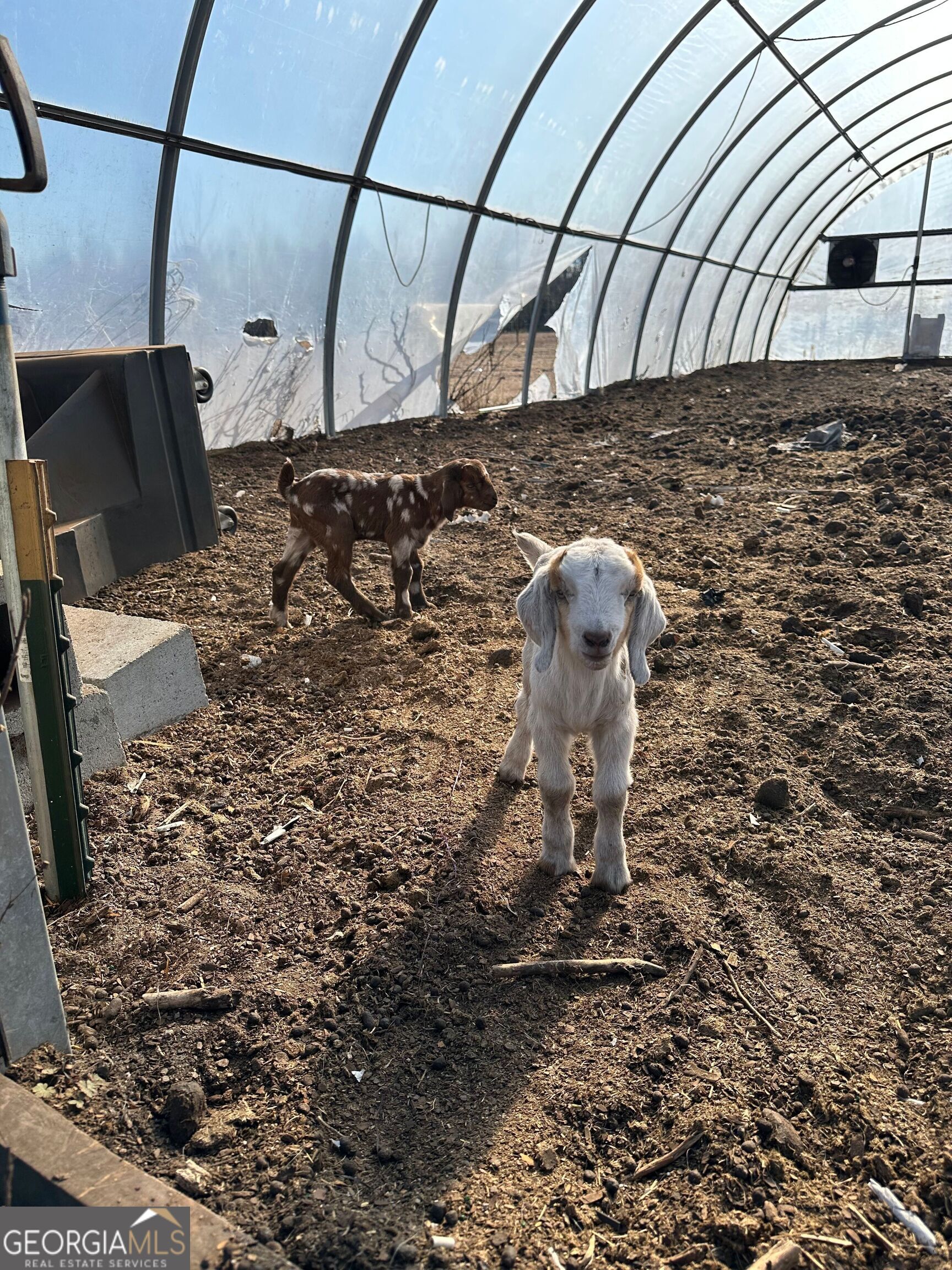 965 Fountain Road Jeffersonville, GA 31044 - Photo 37 of 37 a close view of a fireplace