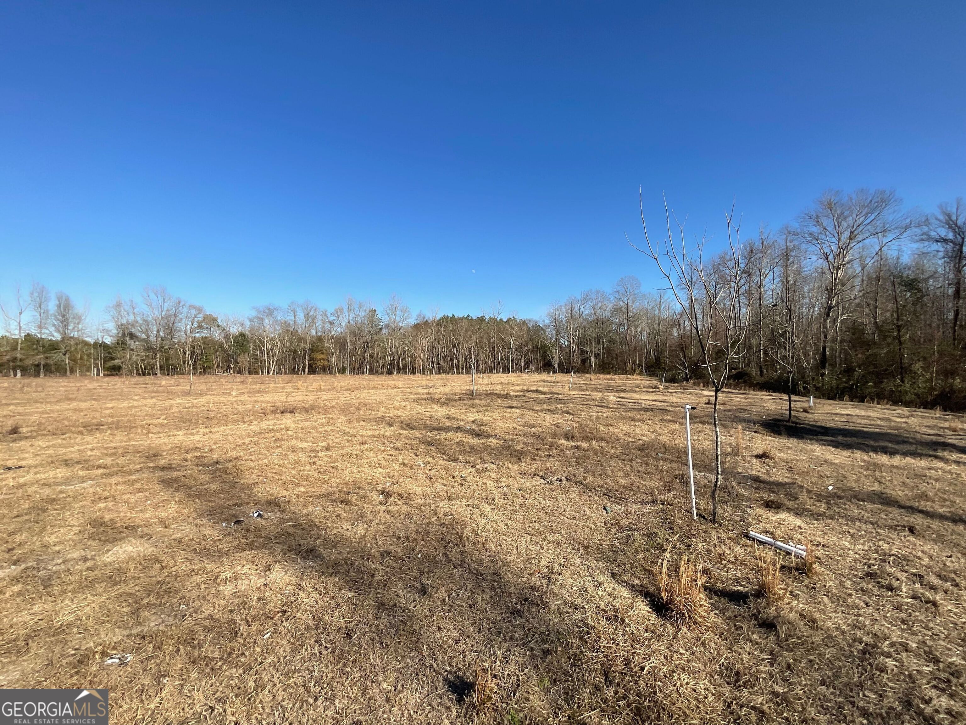 965 Fountain Road Jeffersonville, GA 31044 - Photo 4 of 37 a view of a yard with trees