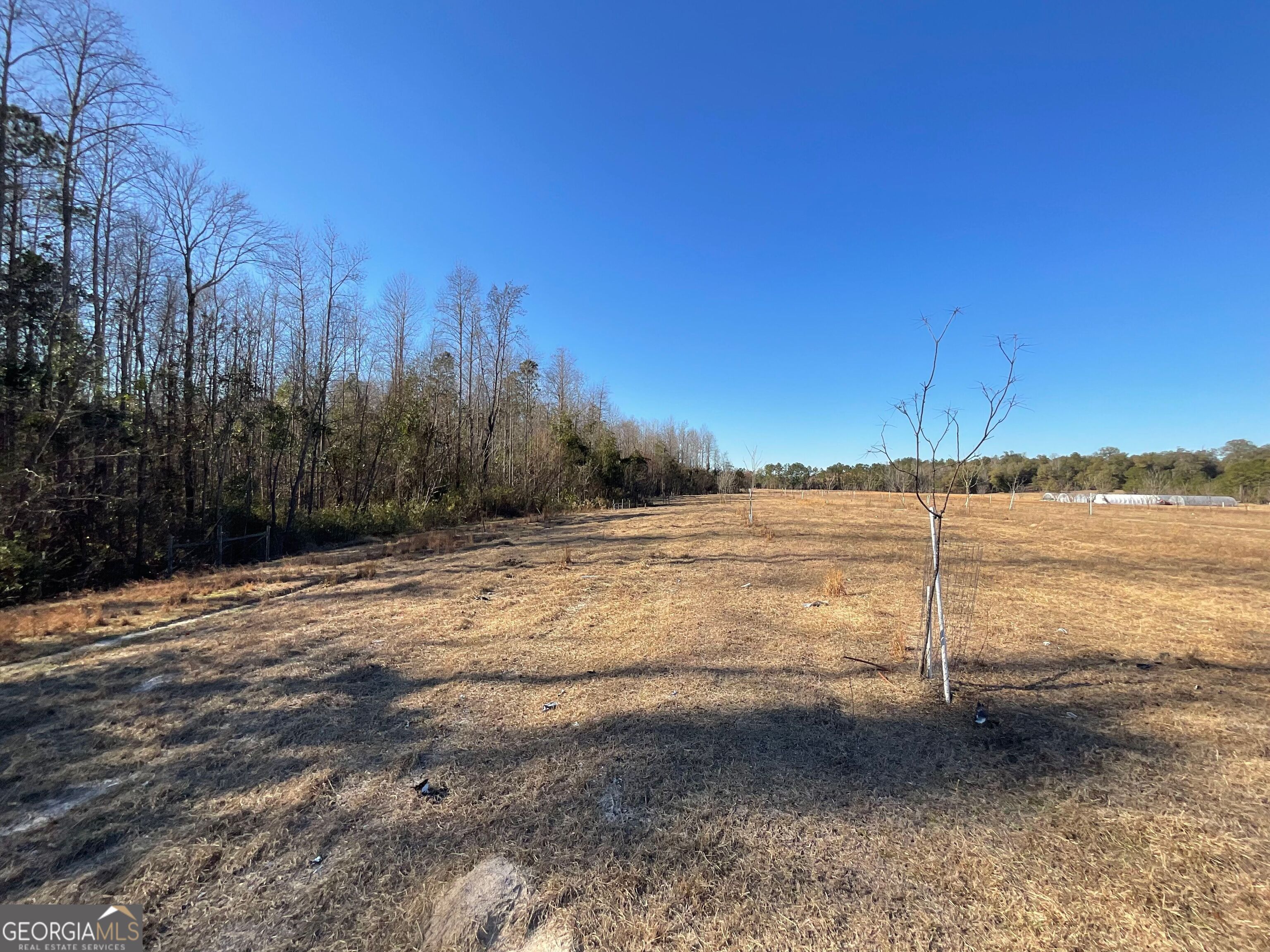965 Fountain Road Jeffersonville, GA 31044 - Photo 5 of 37 a view of a lake view