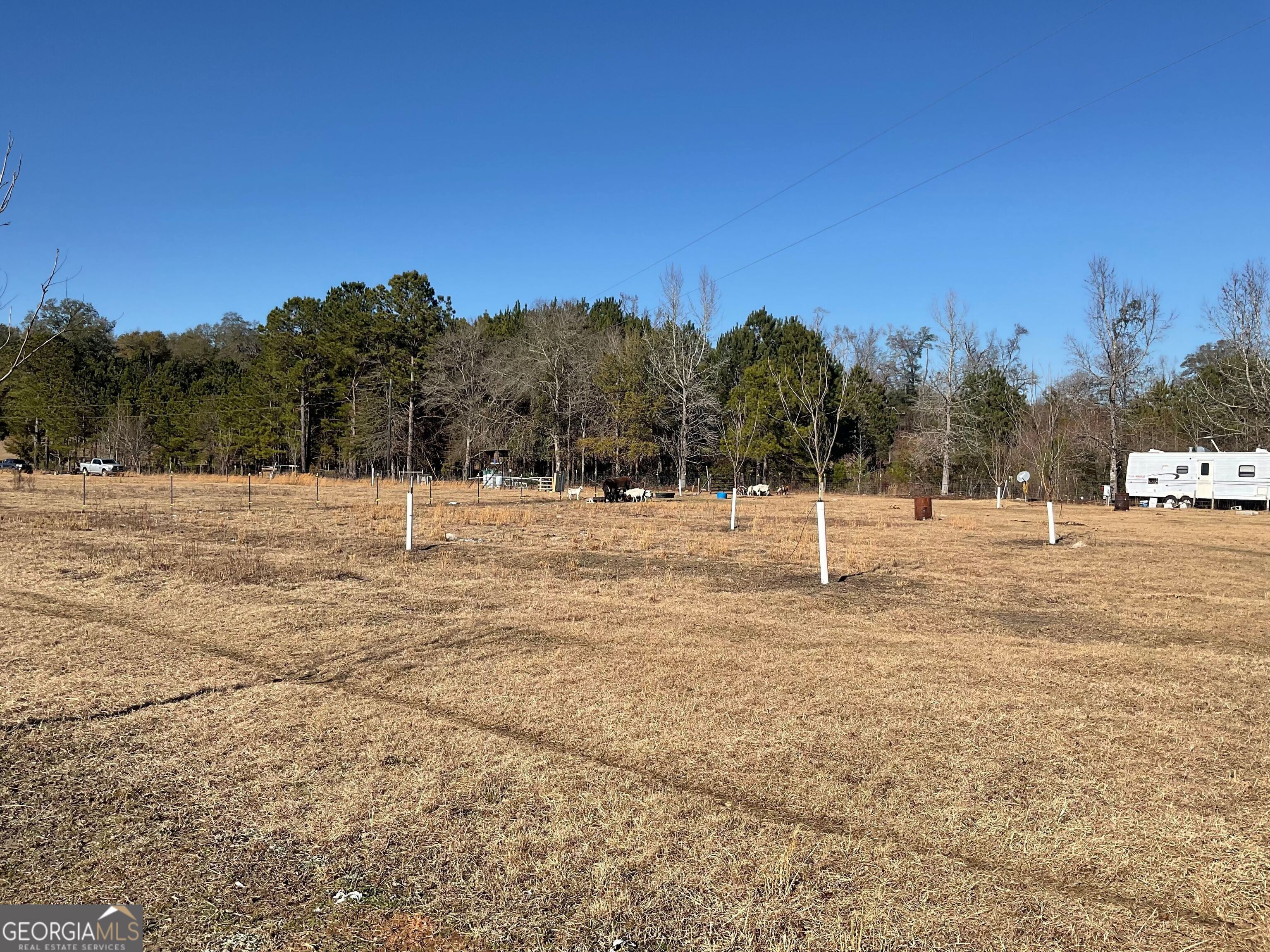 965 Fountain Road Jeffersonville, GA 31044 - Photo 7 of 37 a view of outdoor space with trees all around