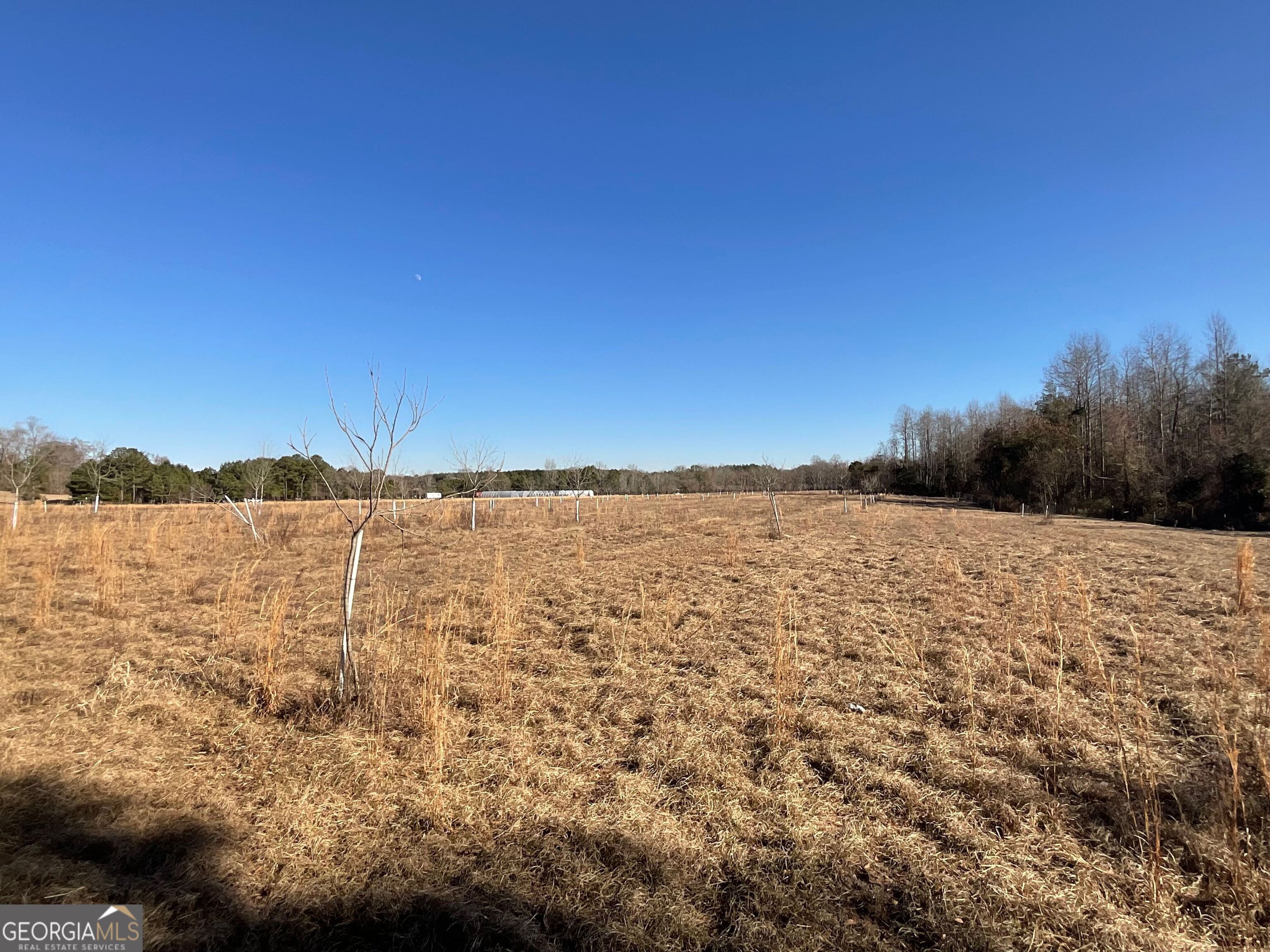 965 Fountain Road Jeffersonville, GA 31044 - Photo 9 of 37 a view of lake and mountain