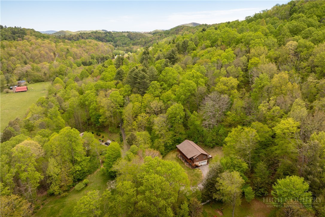 280 Moss Hill Road Boone, NC 28607 - Photo 4 of 44