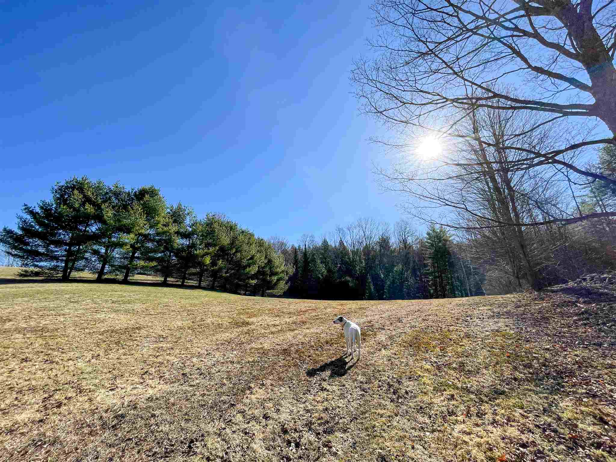 83 Monument Hill Road Springfield, VT 05156 - Photo 2 of 36
