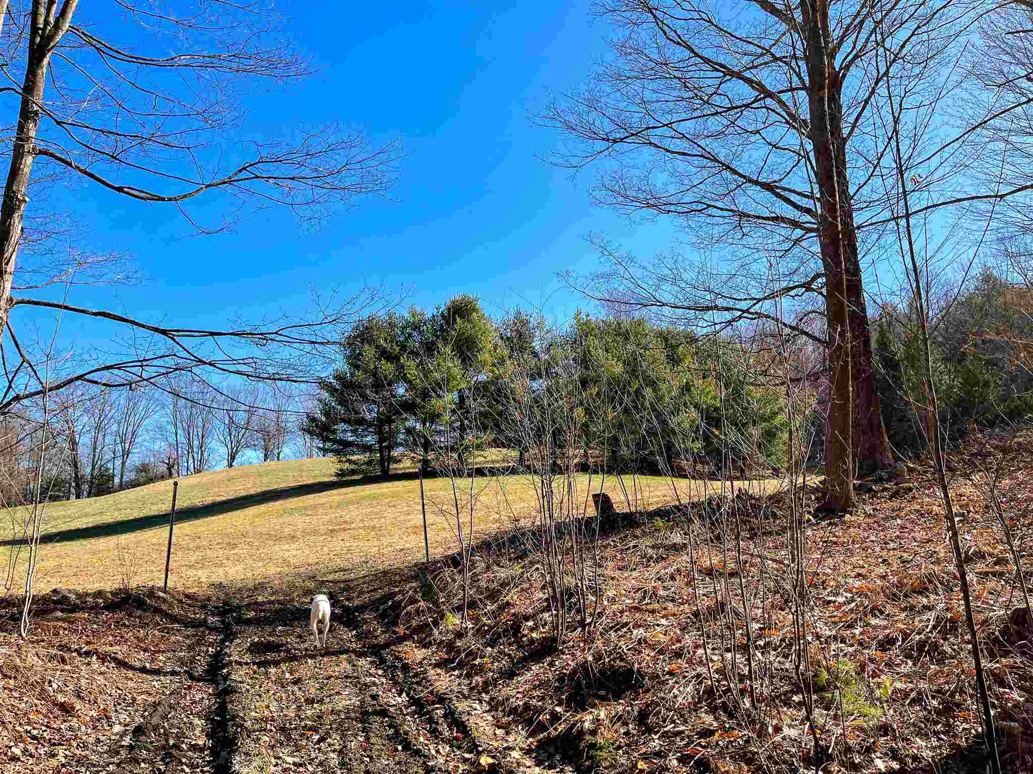 83 Monument Hill Road Springfield, VT 05156 - Photo 3 of 36