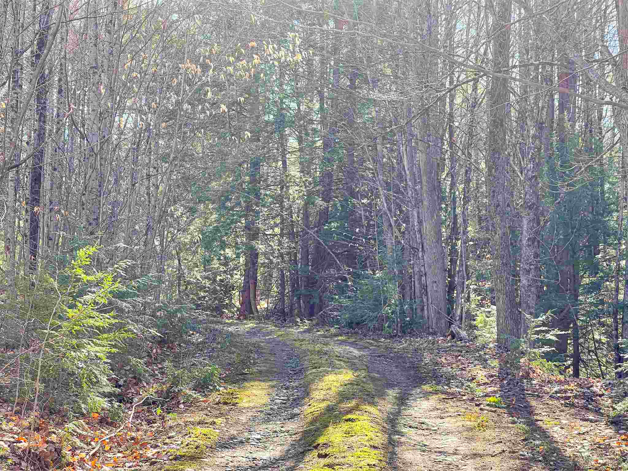 83 Monument Hill Road Springfield, VT 05156 - Photo 6 of 36