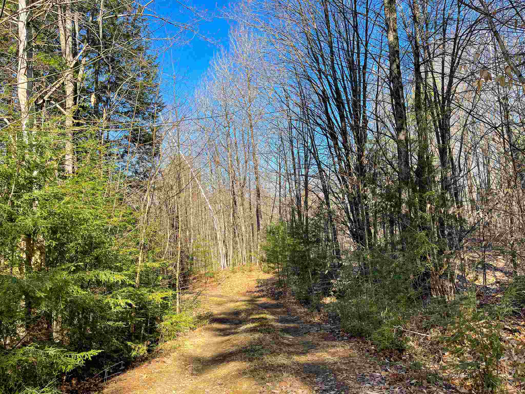 83 Monument Hill Road Springfield, VT 05156 - Photo 10 of 36