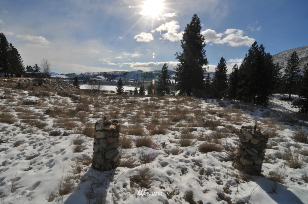14 Butterweed Road Winthrop, WA 98862 - Photo 19 of 25 Gallery Image 19