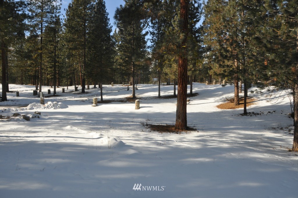 14 Butterweed Road Winthrop, WA 98862 - Photo 21 of 25 Gallery Image 21