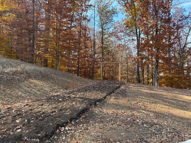 a view of a yard with large trees