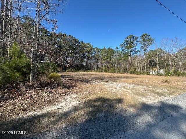 36 Mike Drive Okatie, SC 29909 - Photo 4 of 4 IMG_6711