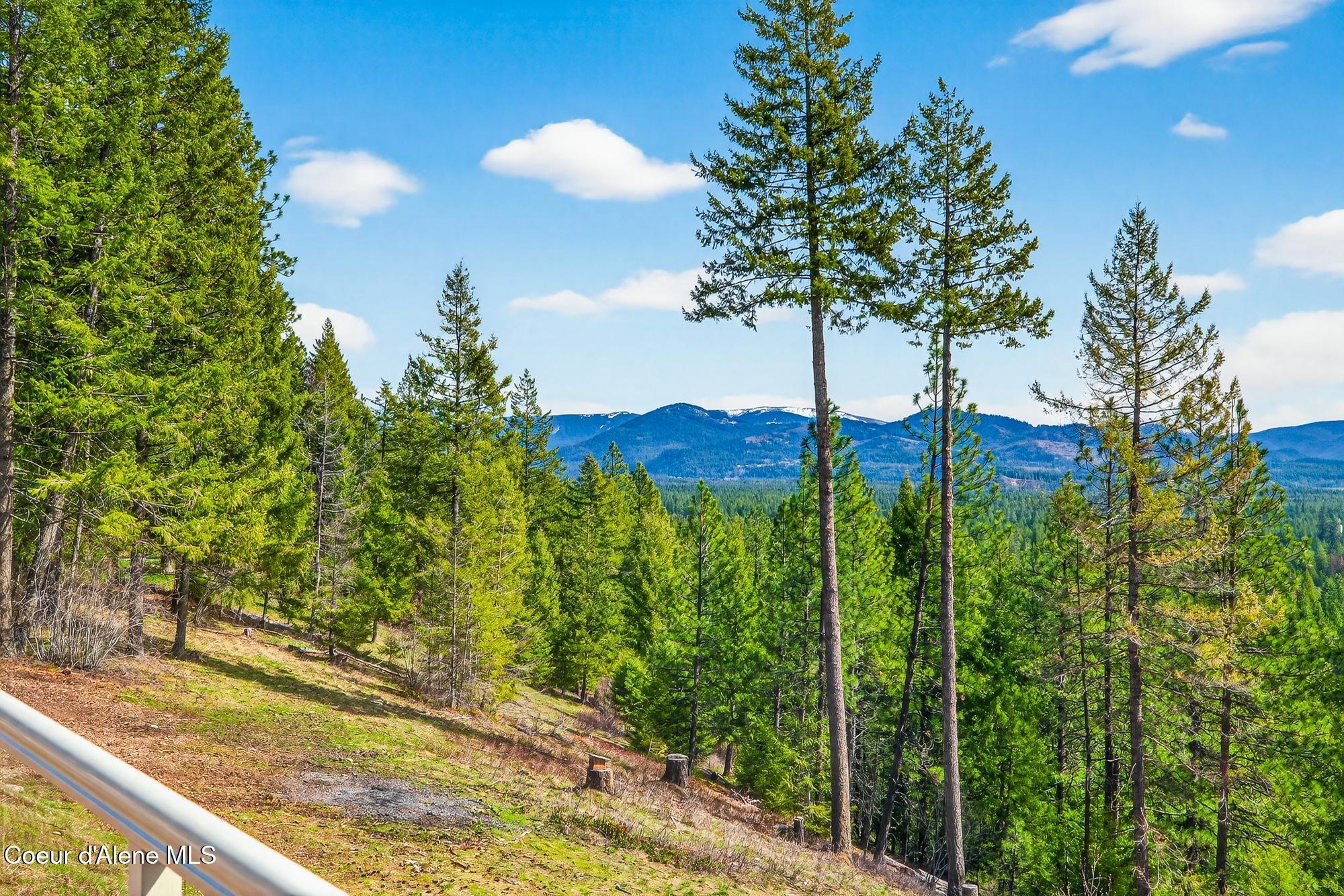 24079 North McKenzie Drive Rathdrum, ID 83858 - Photo 50 of 91 IMG_2688