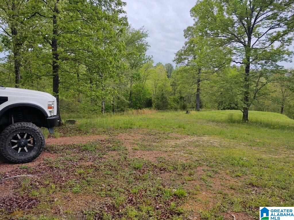 1122 Shortown Branch Road, Unit 107A Bessemer, AL 35023 - Photo 12 of 30