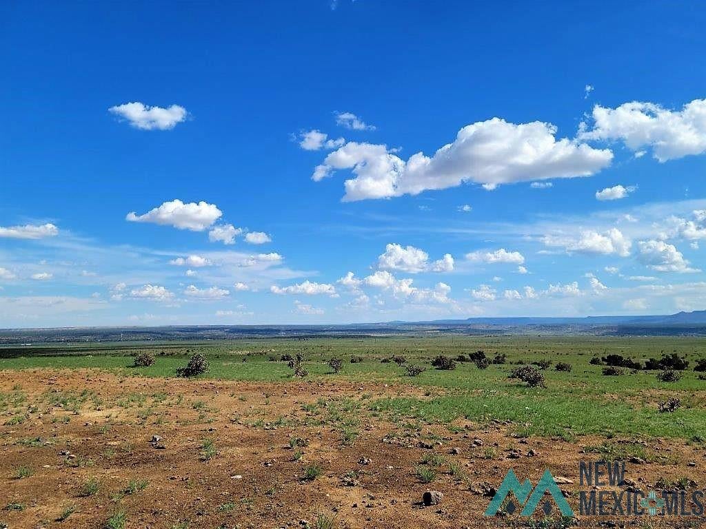 Tbd Rinconada Road San Fidel, NM 87049 - Photo 5 of 40