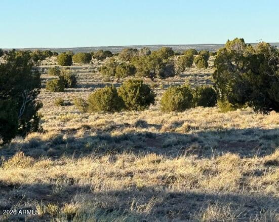 910 County Road St. Johns, AZ 85936 - Photo 8 of 12 910 County Rd N6657