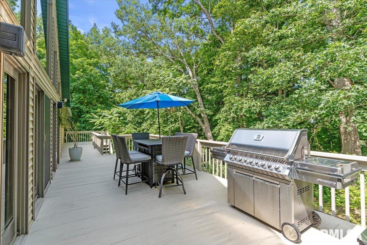 5626 Irwin Bridge Road Pleasant Plains, IL 62677 - Photo 54 of 73 Gallery Image 54