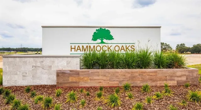 $417,990 | 898 Buckeye Drive, Lady Lake, FL 32159